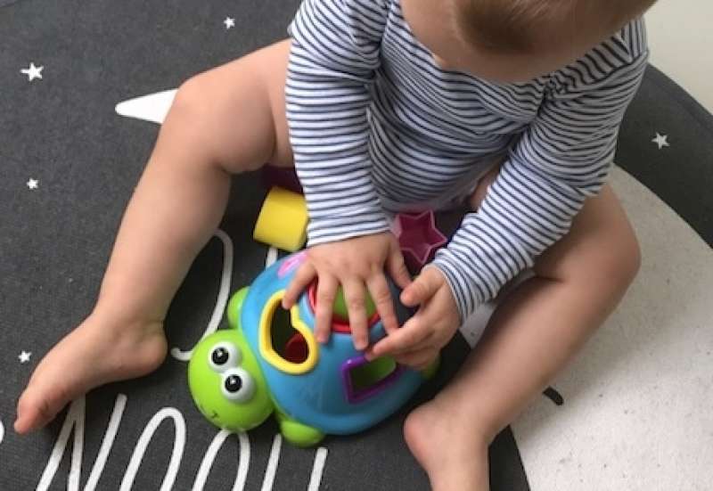 Simba/Baby- &amp; Kleinkindspielzeug:ABC Sortierschildkröte